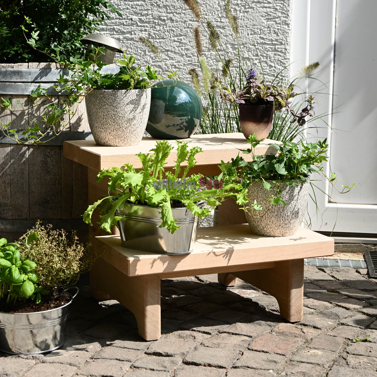 Plant stairs - oak or douglas fir