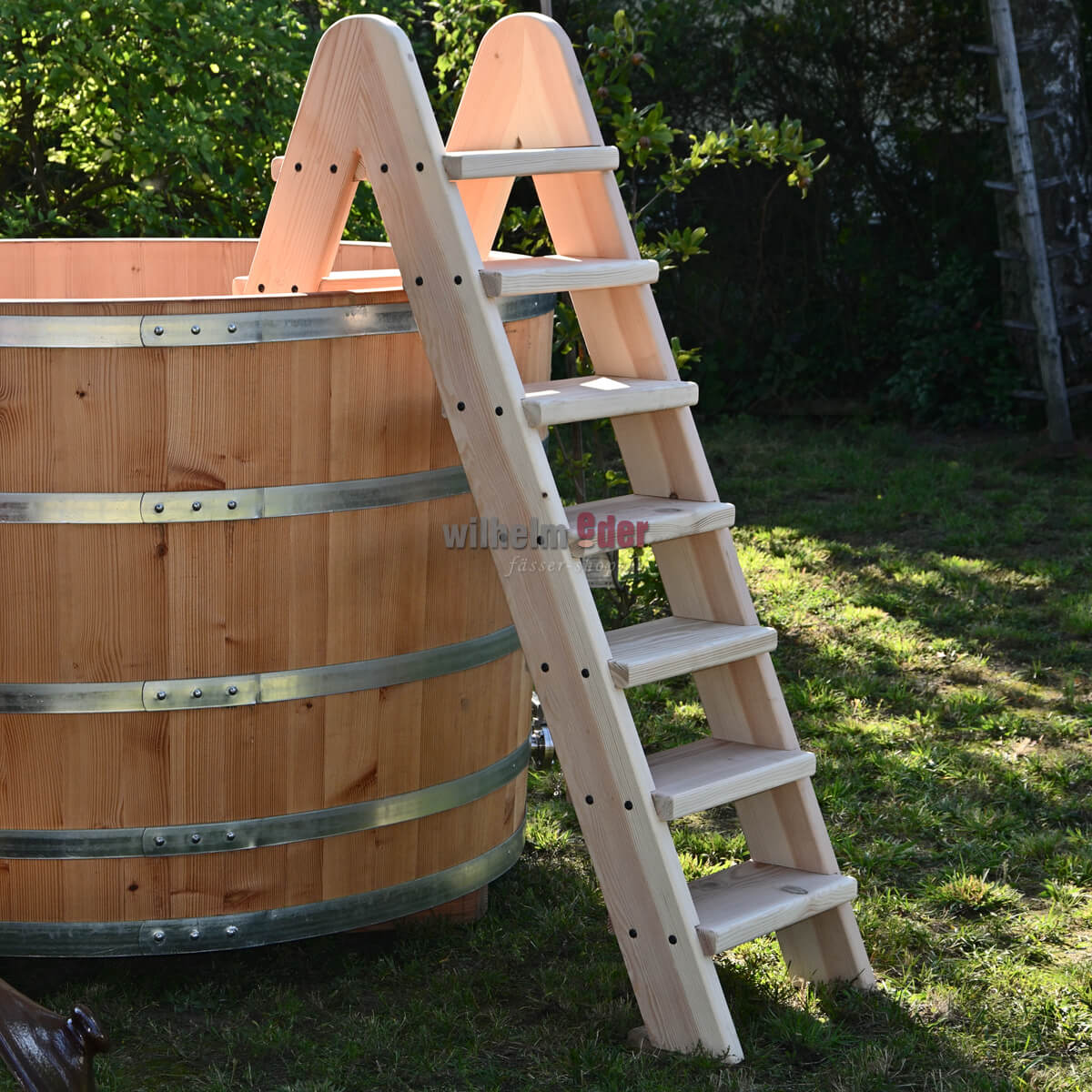 Bath tub ladder – entry and exit